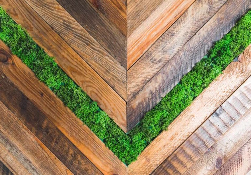 екологічні покриття для деревини